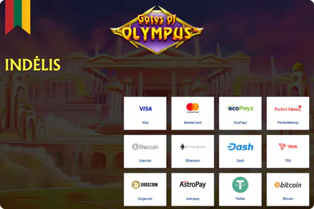 gates of olympus casino game